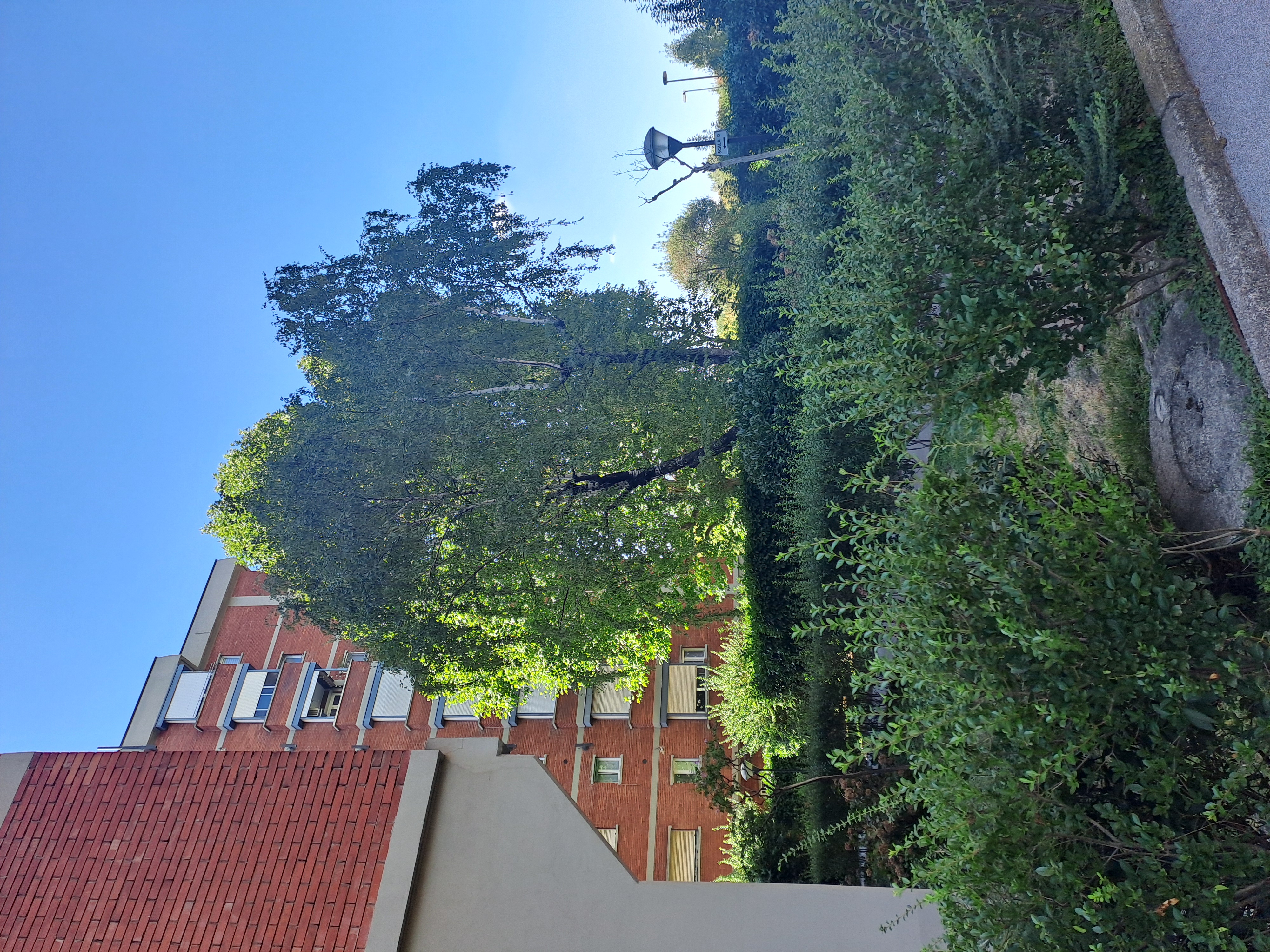 Stanza singola in affitto a Milano — foto 5