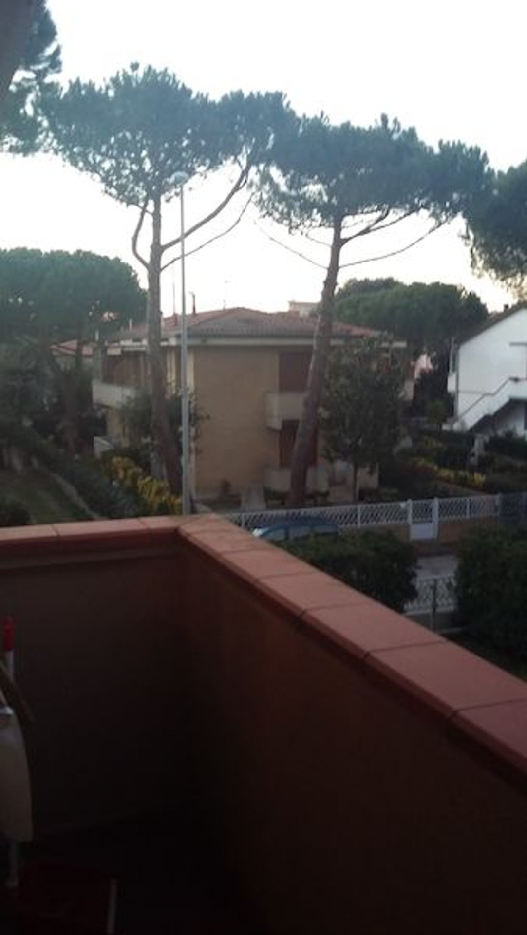 Appartamento 4 locali in affitto a Calambrone — foto 12
