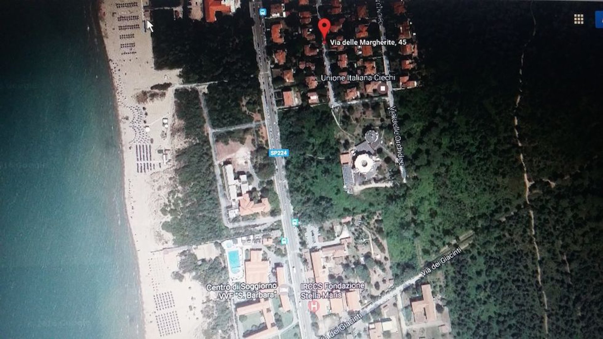 Appartamento 4 locali in affitto a Calambrone — foto 9