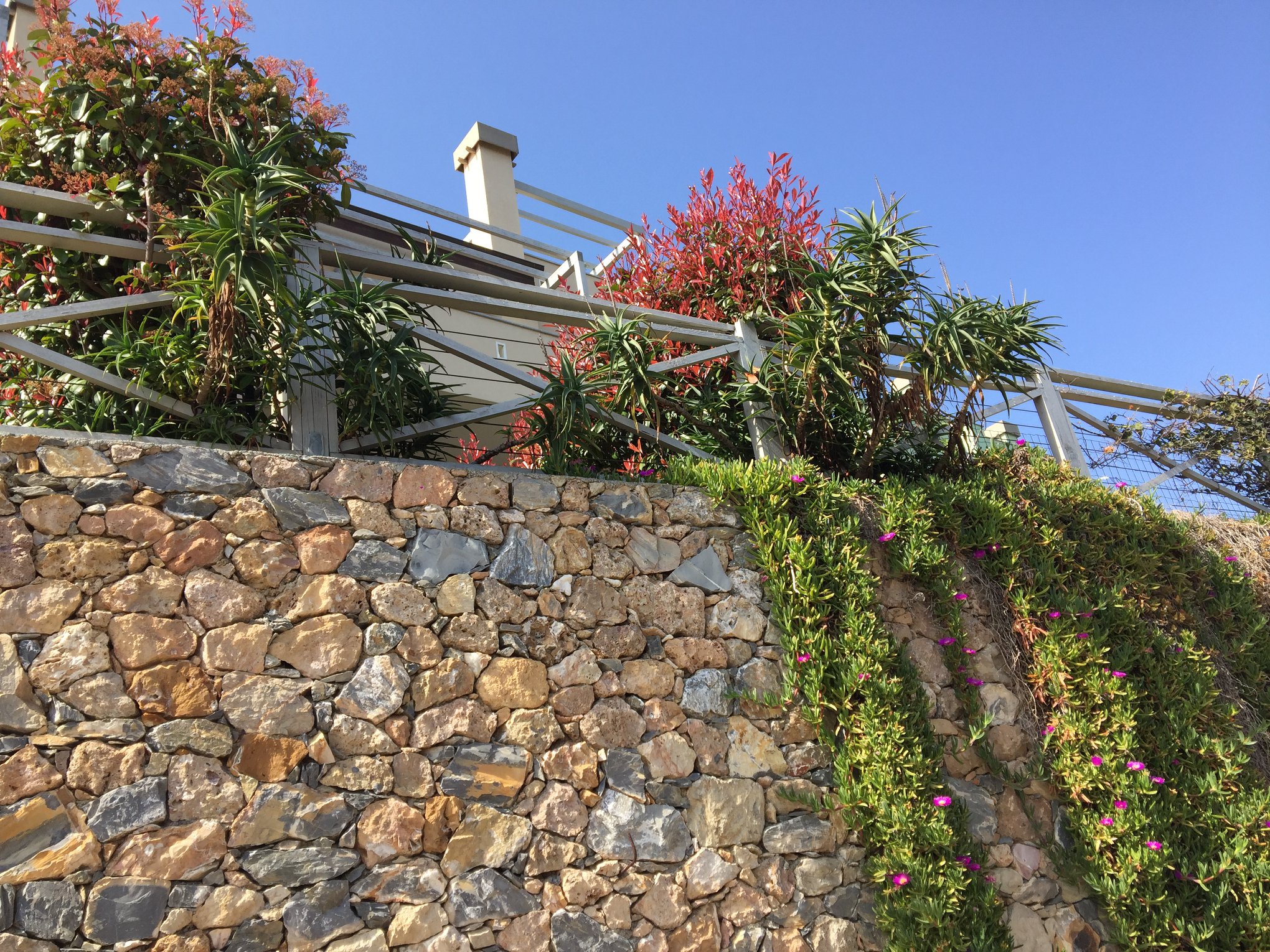 Appartamento 2 locali in affitto a Pietra Ligure — foto 13