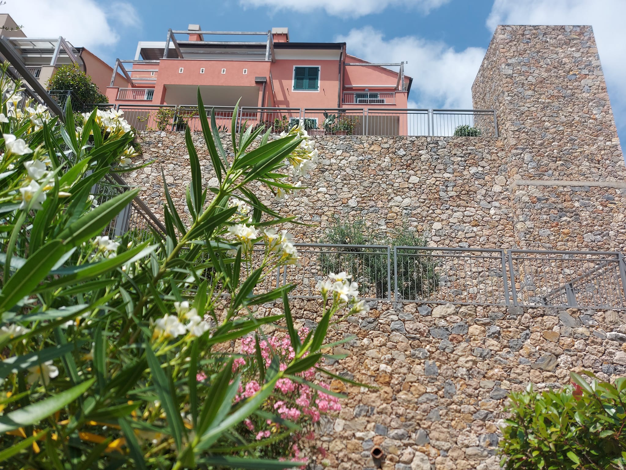 Appartamento 2 locali in affitto a Pietra Ligure — foto 12
