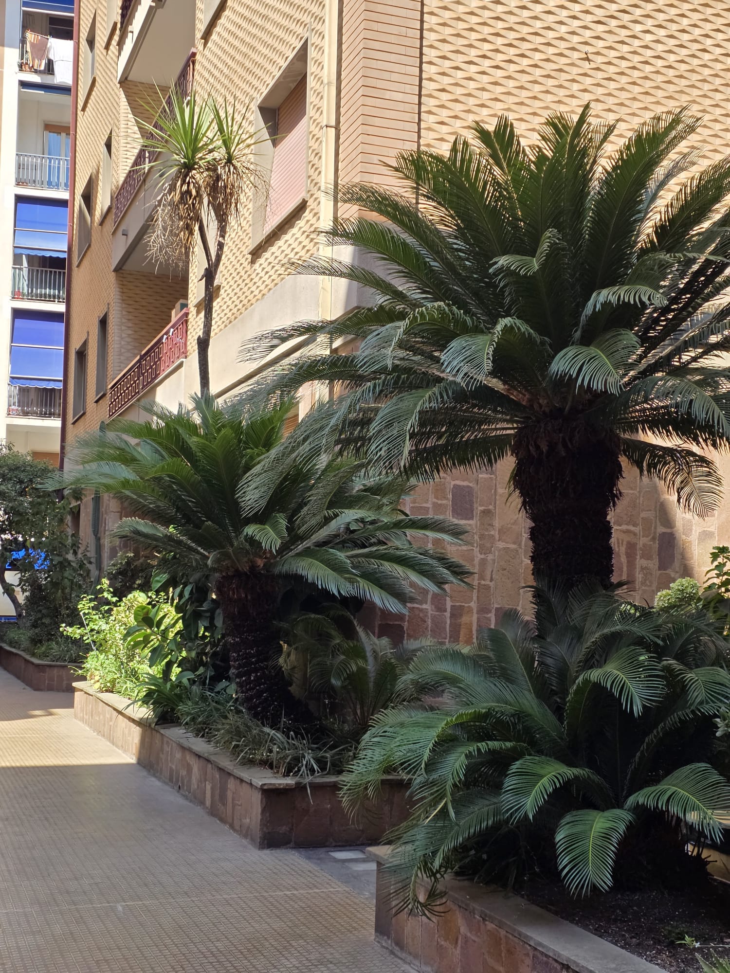 Appartamento 3 locali in affitto a Chiavari — foto 14