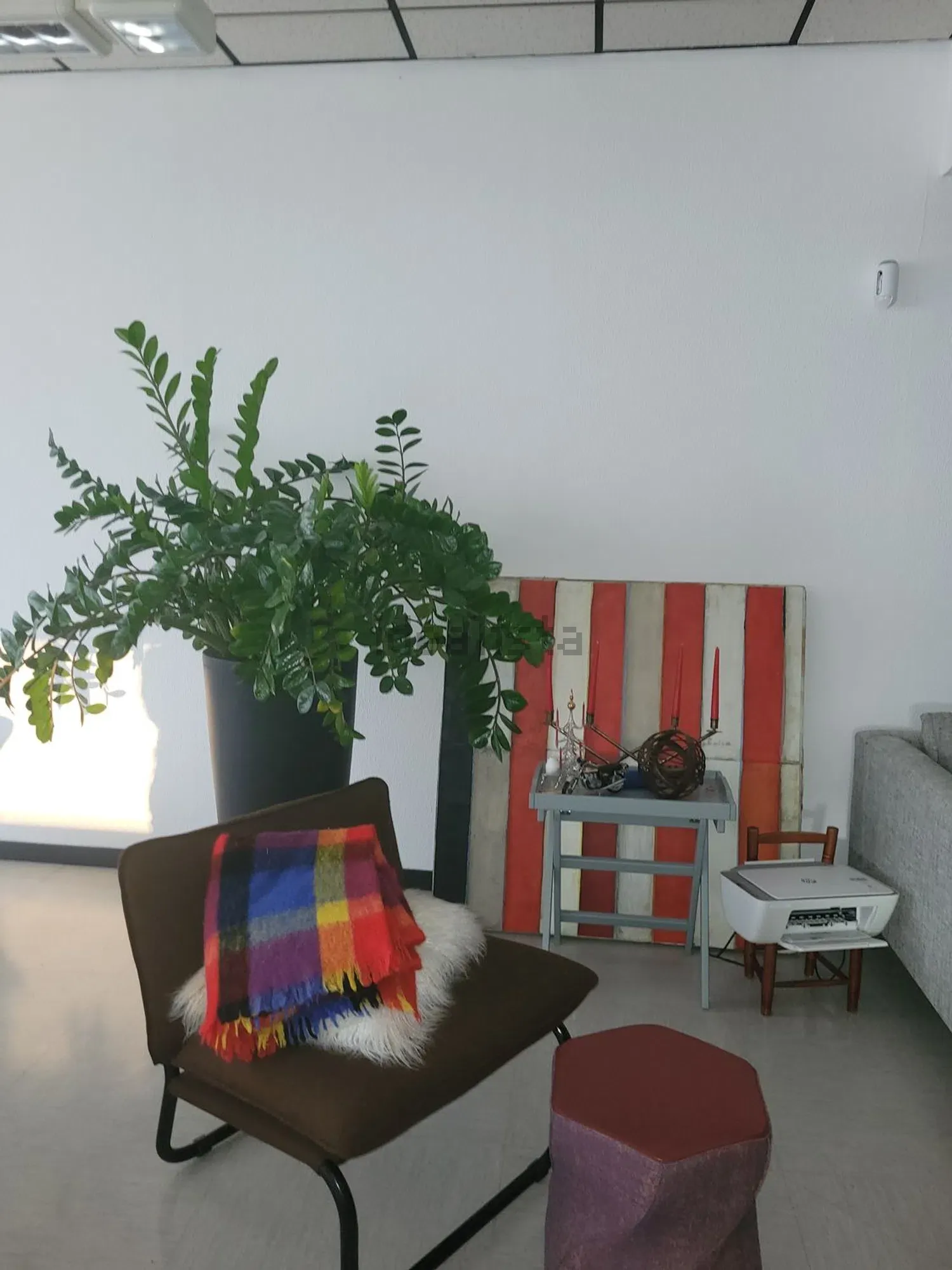 Loft de 5 ambientes en alquiler en Rozzano — foto 6