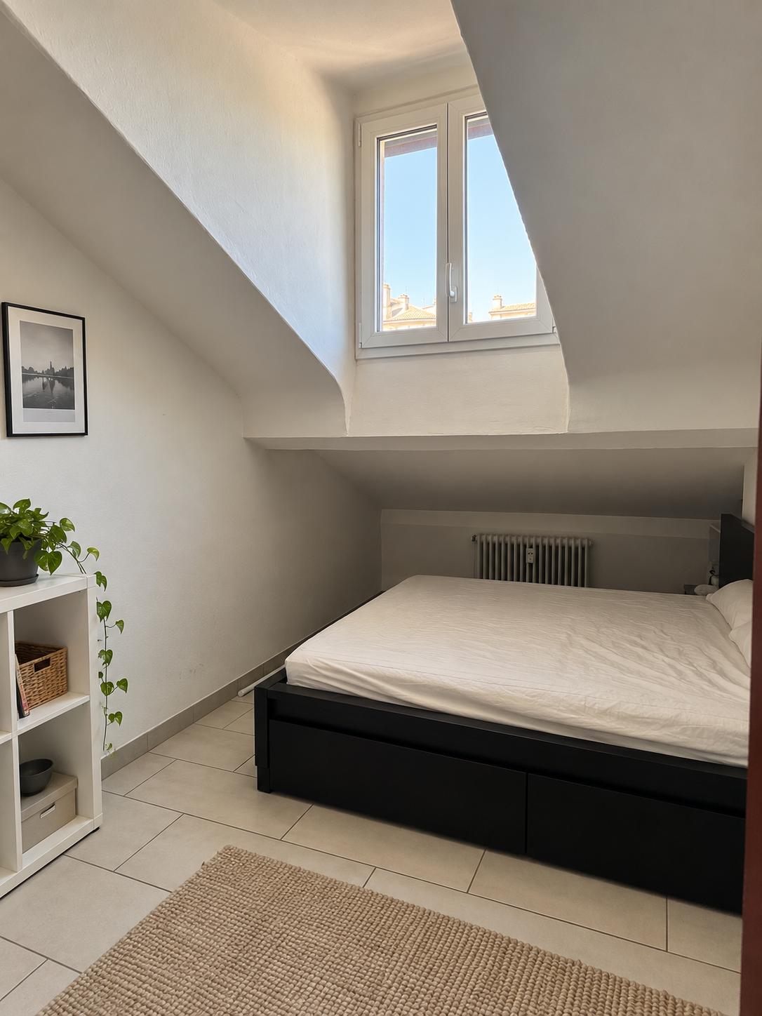 Single room for rent in Milano — photo 3