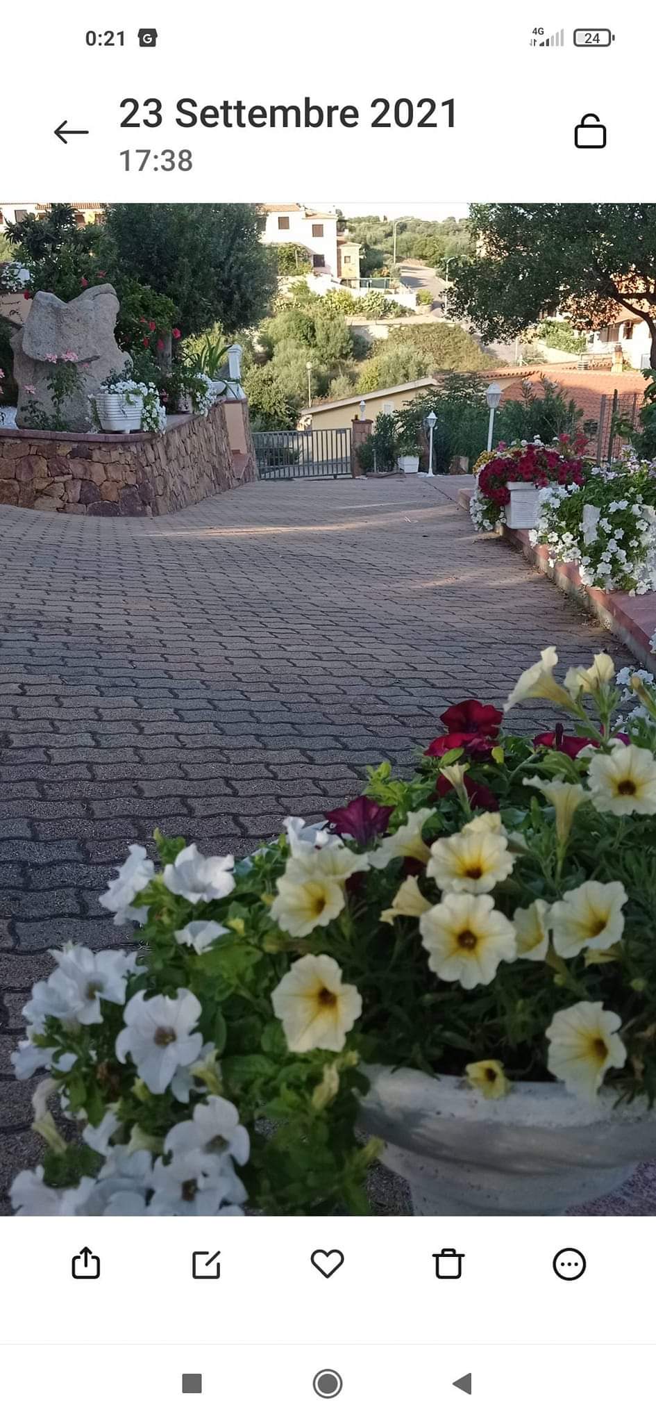 Villa unifamiliare 9 locali in affitto a Malamurì — foto 7