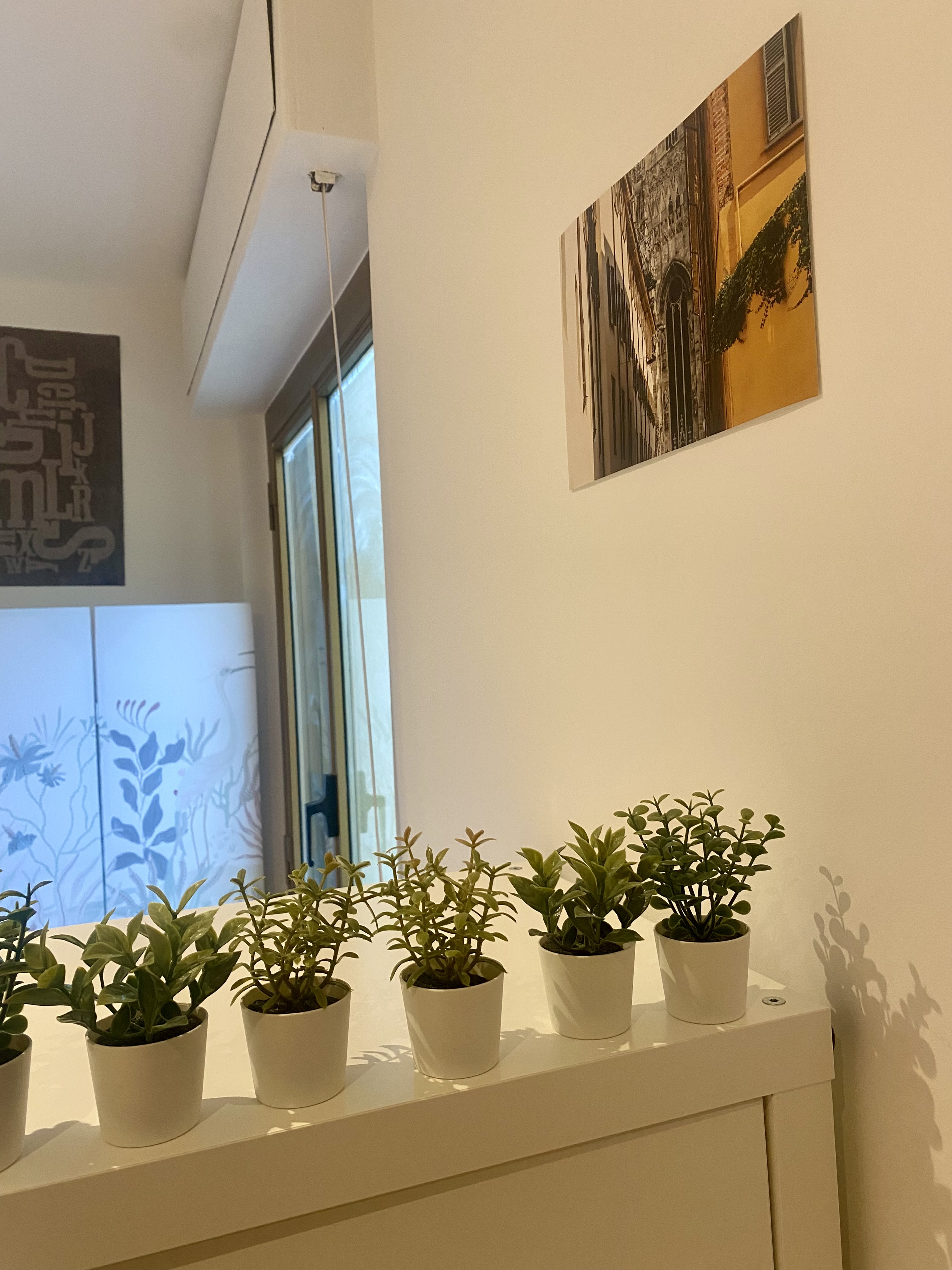 Double room for rent in Milano — photo 24